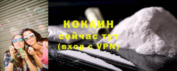 индика Богородск