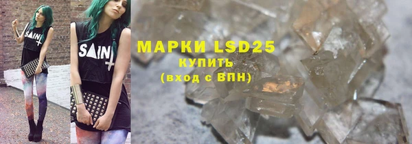 индика Богородск