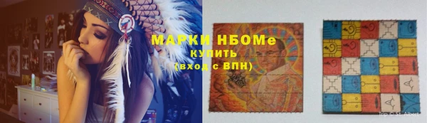 хмурый Верея
