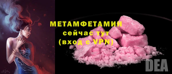 индика Богородск