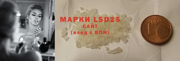 индика Богородск
