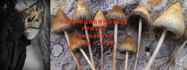 хмурый Верея