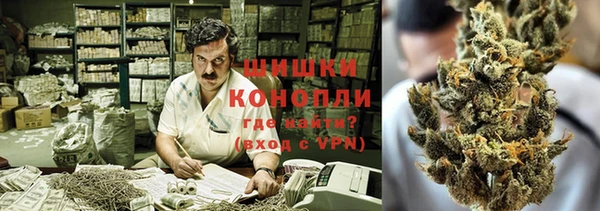 ПСИЛОЦИБИНОВЫЕ ГРИБЫ Богданович