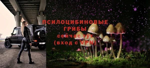 ПСИЛОЦИБИНОВЫЕ ГРИБЫ Богданович