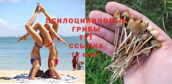 мдма Няндома