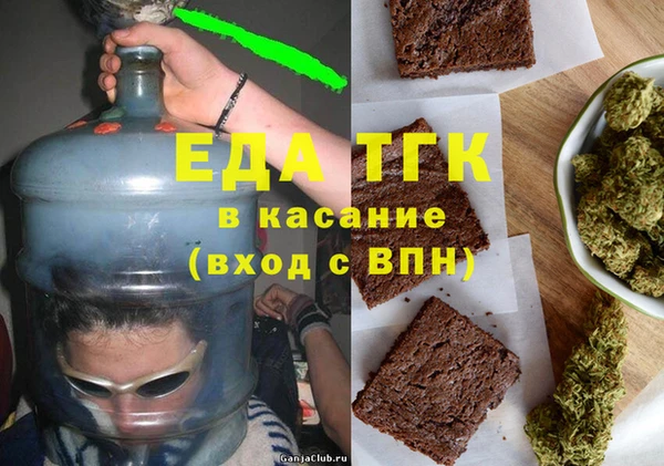 индика Богородск
