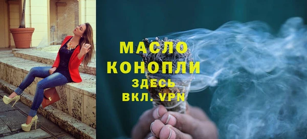 индика Богородск