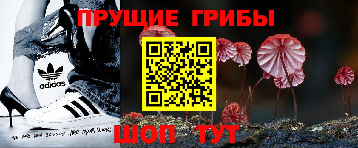 хочу   Вход с VPN  Северск  Галлюциногенные грибы Magic Shrooms 